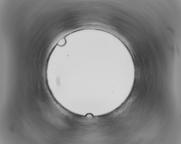 X0000110741533200907271051