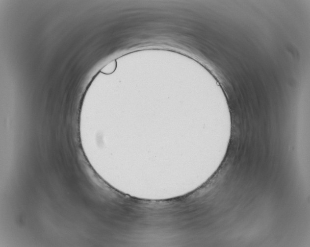 X0000110741534200907271051