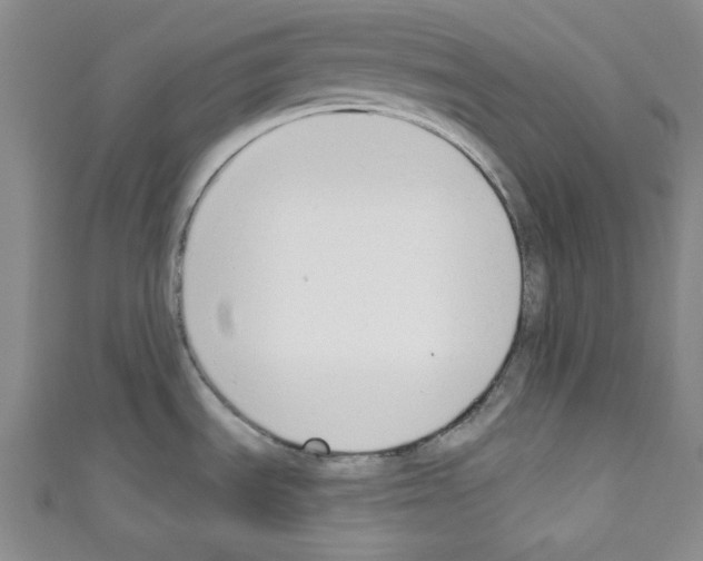 X0000110741535200907271051