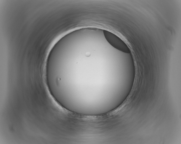 X0000110741536200907271051