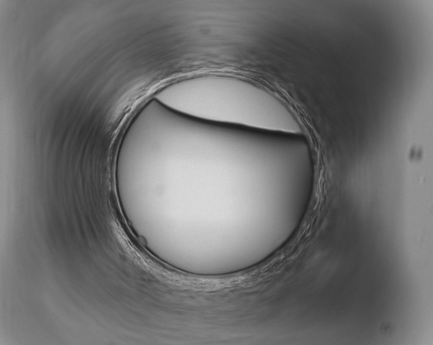 X0000110760002200906150941