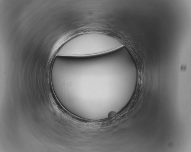 X0000110760004200906150941