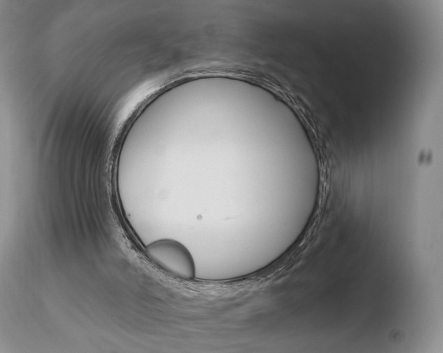 X0000110760006200906150941
