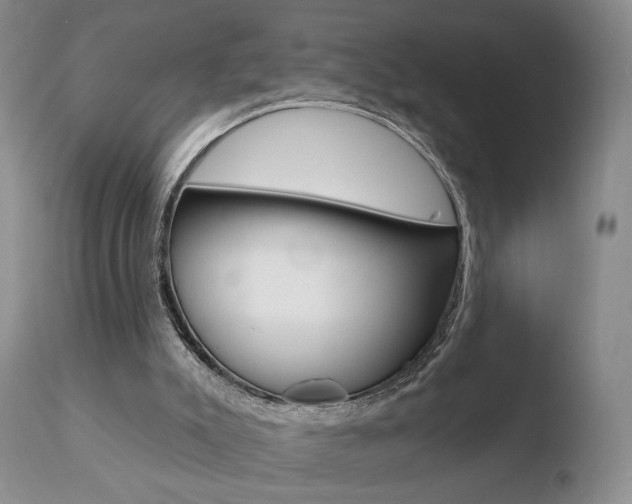 X0000110760007200906150941