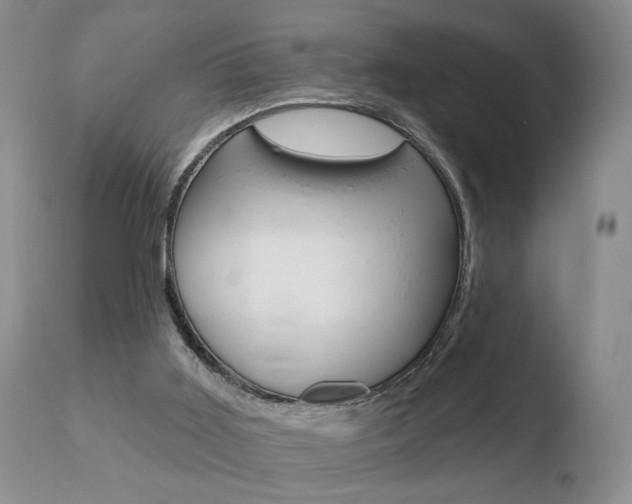 X0000110760011200906150941