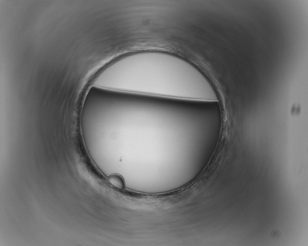 X0000110760012200906150941