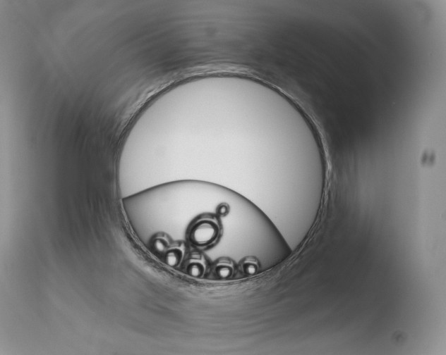 X0000110760013200906150941