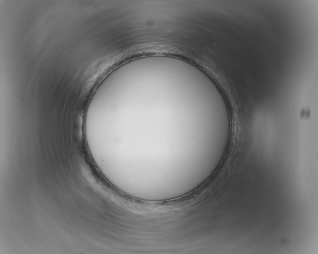 X0000110760014200906150941