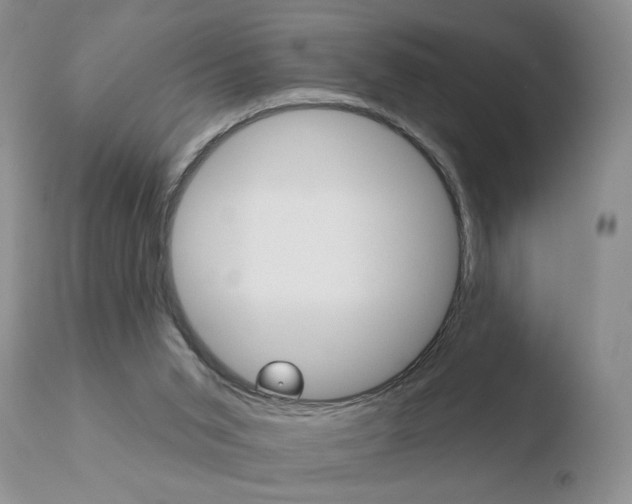 X0000110760015200906150941