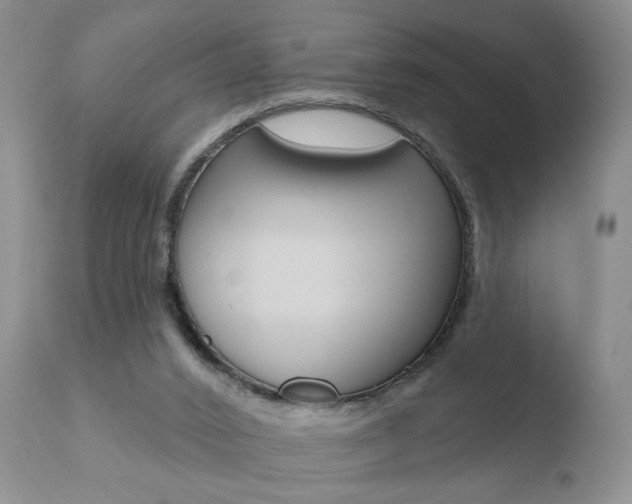 X0000110760016200906150941