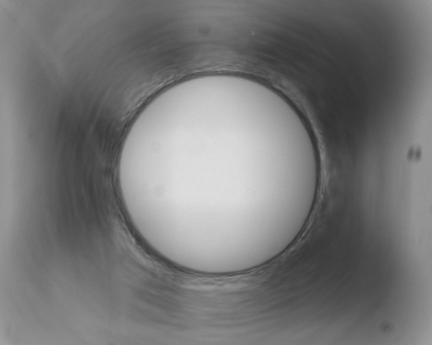 X0000110760017200906150941