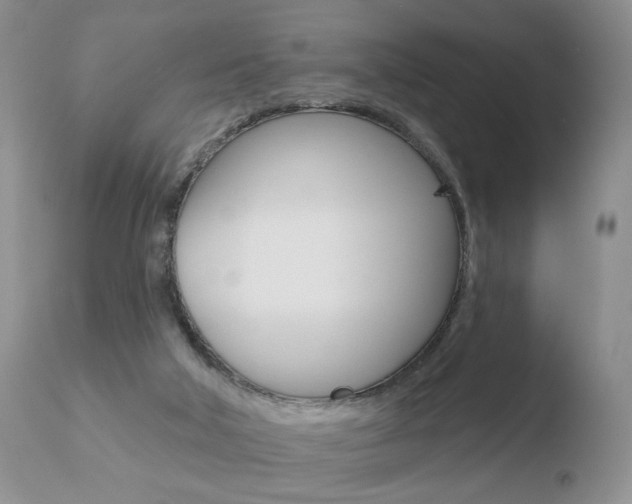 X0000110760018200906150941