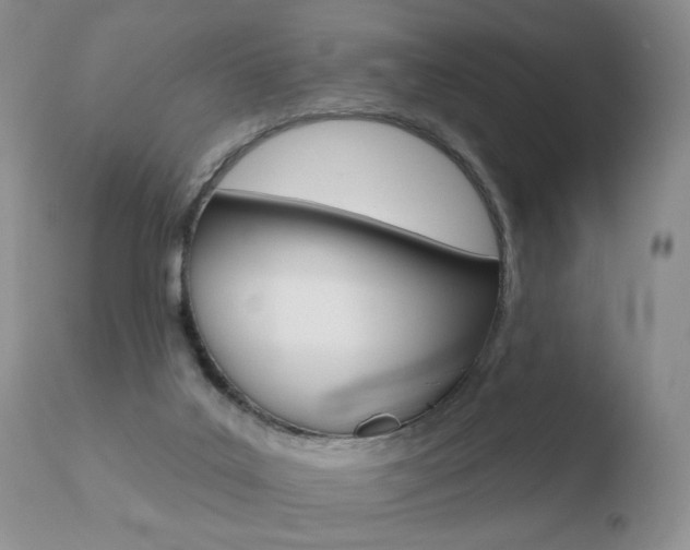 X0000110760019200906150941