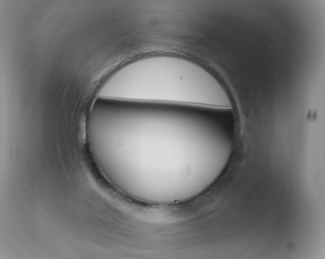 X0000110760020200906150941
