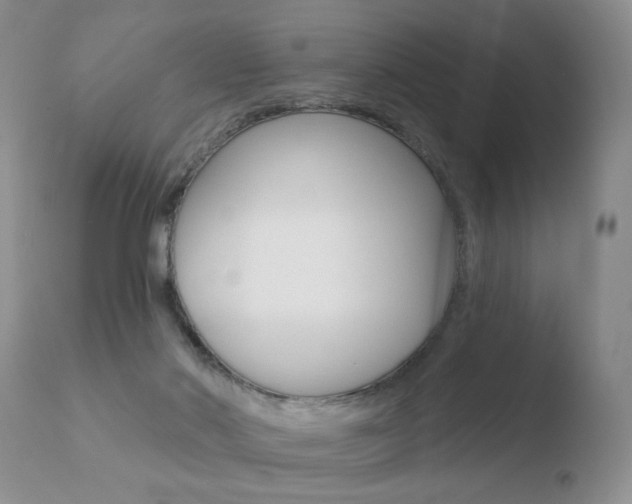 X0000110760022200906150941