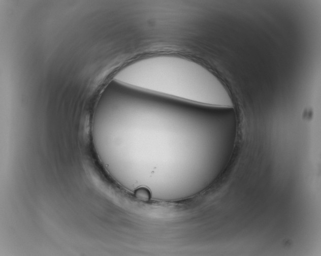 X0000110760024200906150940