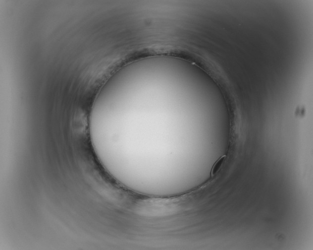 X0000110760025200906150940