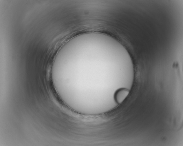X0000110760026200906150940
