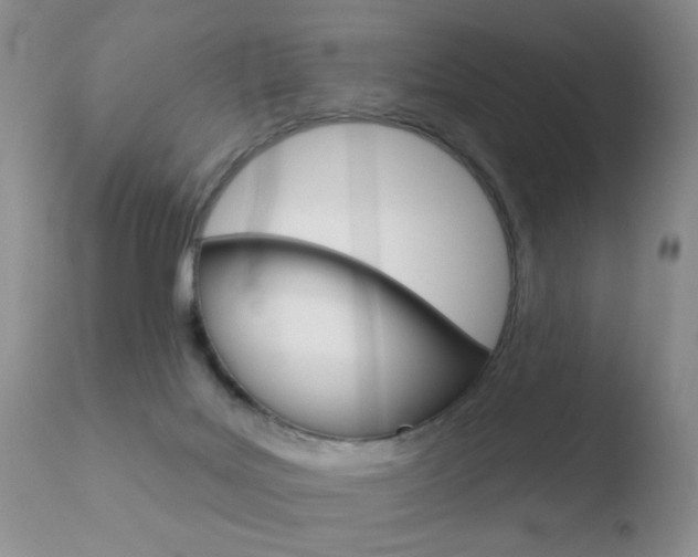 X0000110760027200906150940