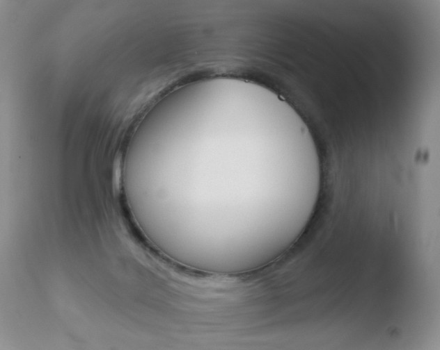 X0000110760028200906150940
