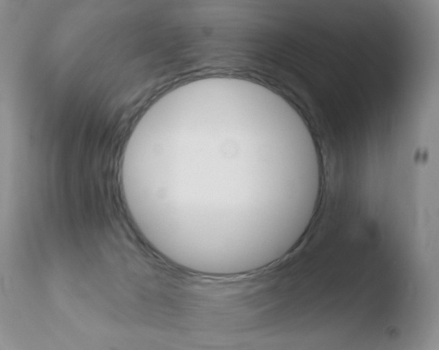 X0000110760029200906150940