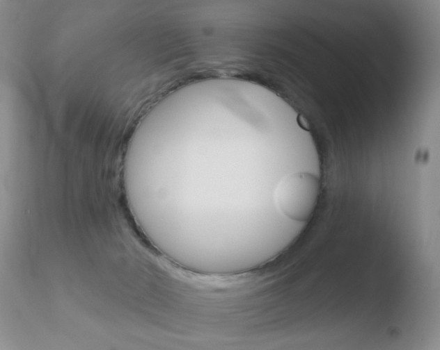 X0000110760030200906150940