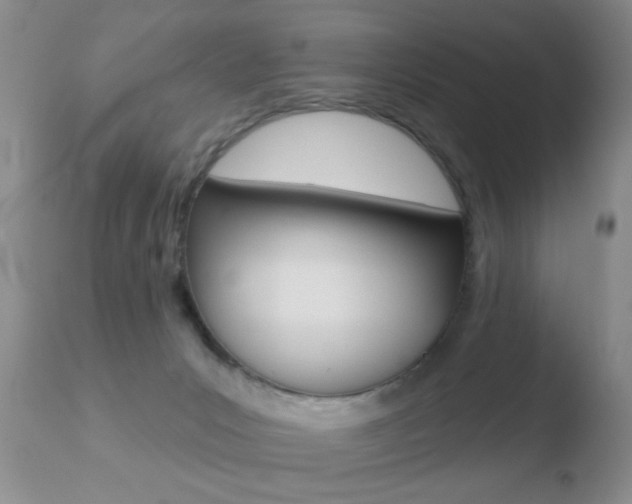 X0000110760031200906150940