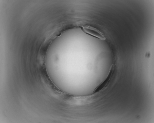 X0000110760033200906150940