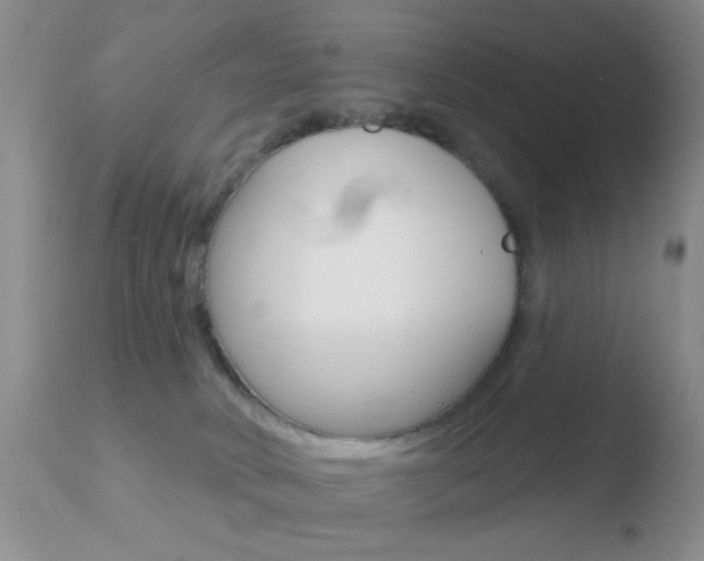 X0000110760034200906150940