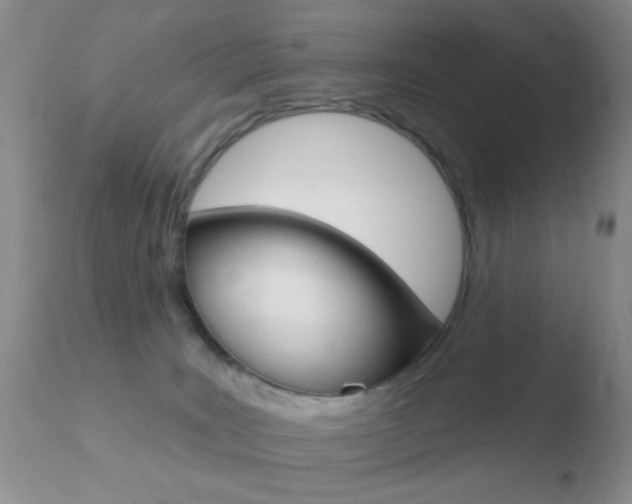 X0000110760035200906150940