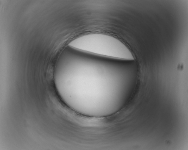X0000110760036200906150940