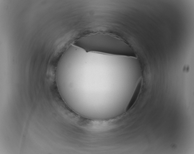 X0000110760037200906150940