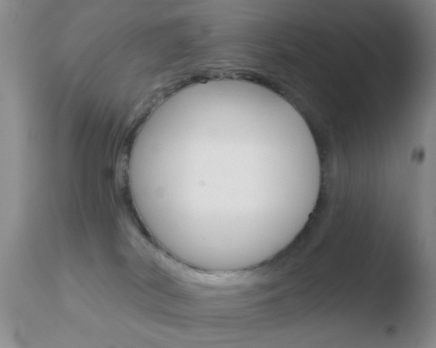 X0000110760038200906150940