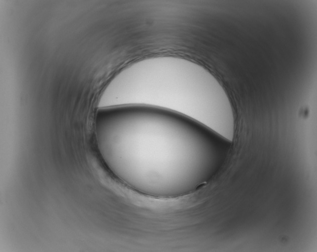X0000110760039200906150940