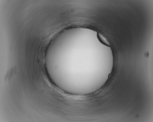 X0000110760040200906150940
