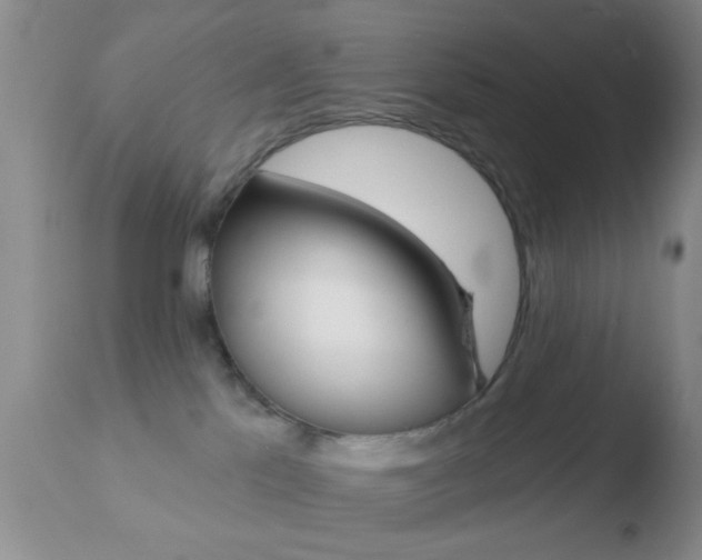 X0000110760041200906150940