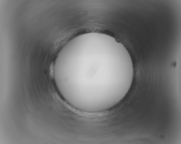 X0000110760042200906150940