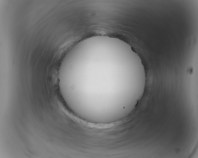 X0000110760043200906150940