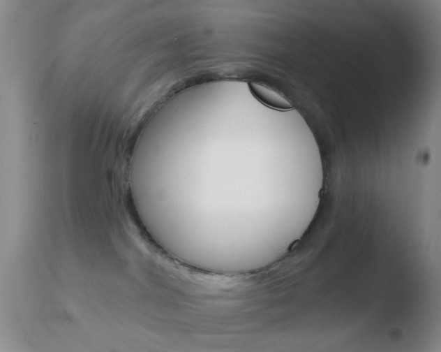 X0000110760044200906150940