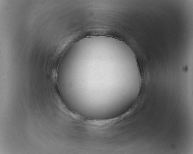 X0000110760045200906150940
