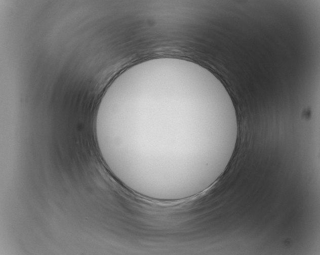 X0000110760047200906150940