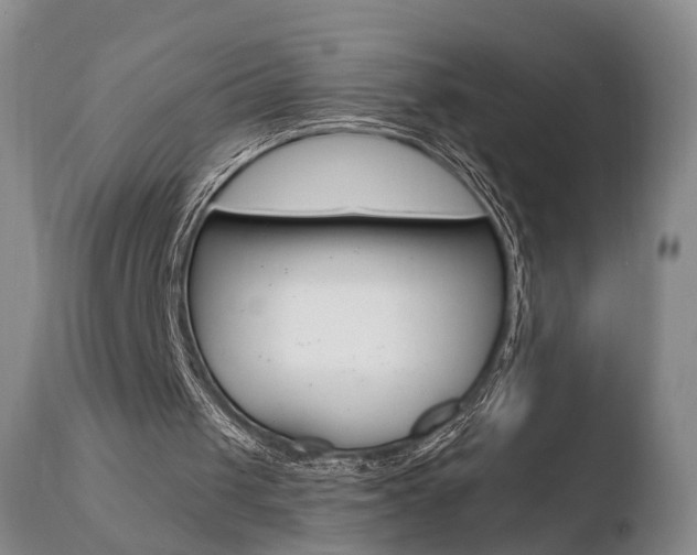 X0000110760049200906150939