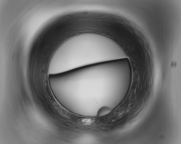 X0000110760050200906150939
