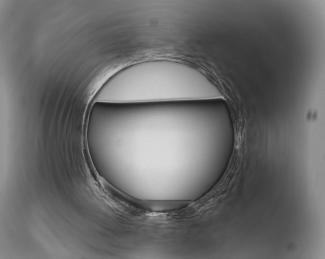 X0000110760052200906150939