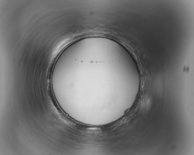 X0000110760053200906150939