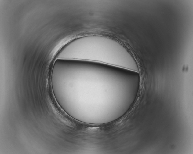 X0000110760054200906150939