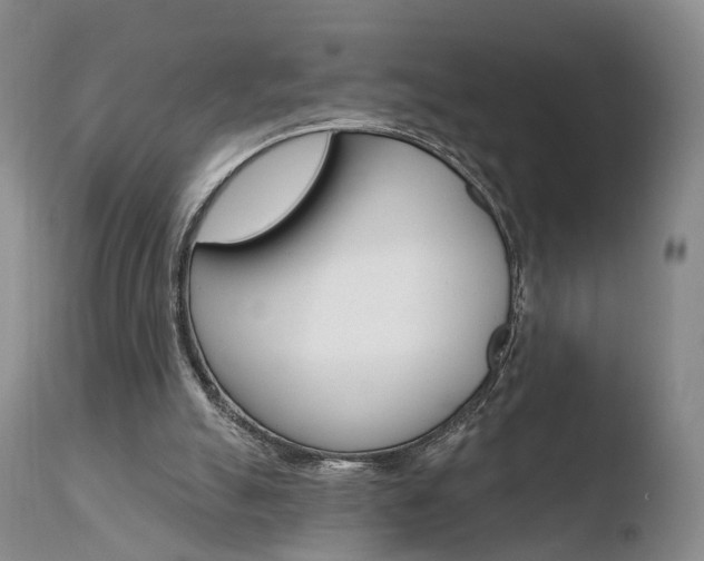X0000110760055200906150939