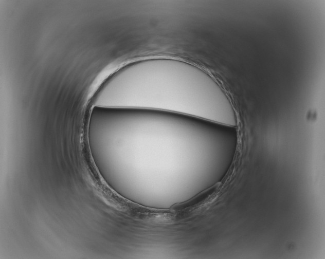 X0000110760056200906150939