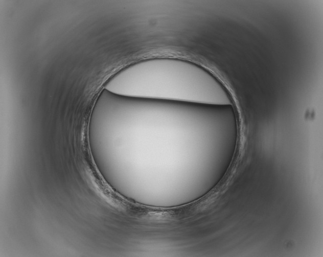X0000110760057200906150939