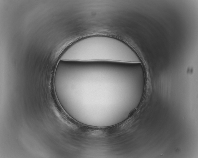 X0000110760058200906150939